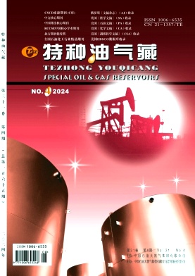 特种油气藏